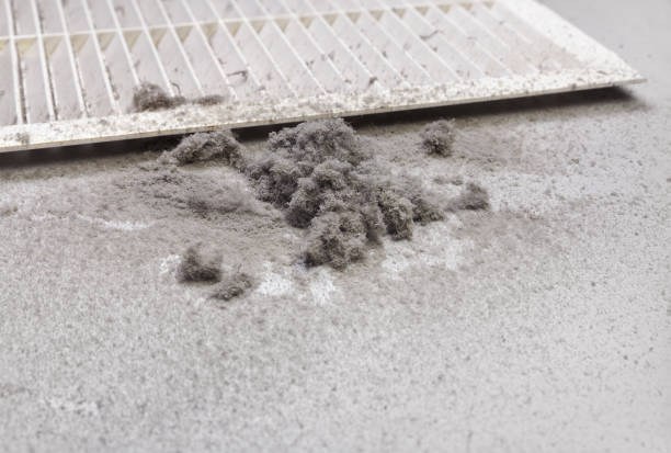 Best Home Air Vent Cleaning  in Blackhawk, SD