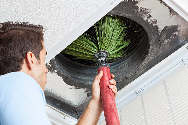 Air Duct Mold Removal in Blackhawk, SD